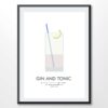 Gin Tonic Cocktail Recipe