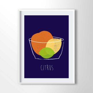 Citrus Bowl Illustration