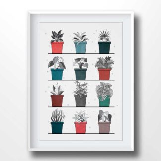 Plant shelf illustration