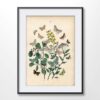 Vintage Butterflies
