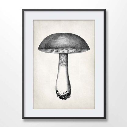 Vintage Mushroom