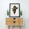 Green Grapes - Image 2