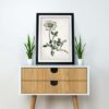 White Flower - Image 2
