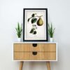 Pear - Image 2