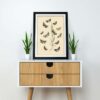 Botanical Butterflies - Image 2