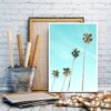 Palm trees - Image 2