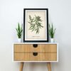 Cannabis Plant - Image 2