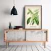 Sweet Chestnut Plant - Image 3