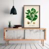 Citrus Plant - Image 3
