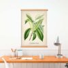 Sweet Chestnut Plant - Image 4