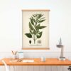 Sesame Plant - Image 4