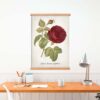 Red Rose - Image 4