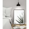 Palm leaf - Image 5