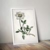 White Flower - Image 5
