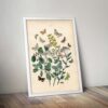 Vintage Butterflies - Image 5