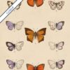 Butterflies Illustration - Image 6