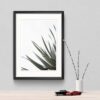 Palm leaf - Image 7