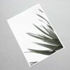Palm leaf - Image 8