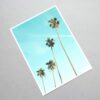 Palm trees - Image 8