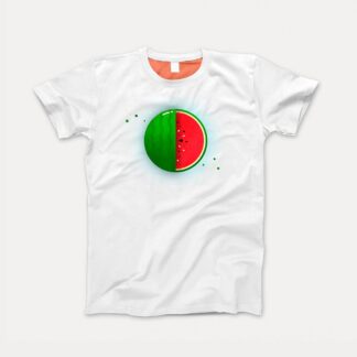 Vector Watermelon PNG