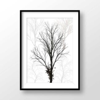 Minimalist Trees