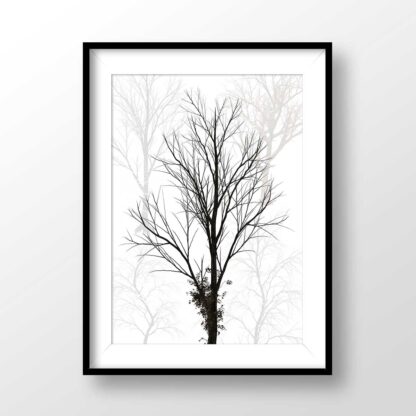 Minimalist Trees