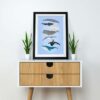 Whales illustration - Image 2
