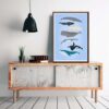 Whales illustration - Image 3
