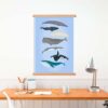 Whales illustration - Image 4