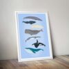 Whales illustration - Image 5